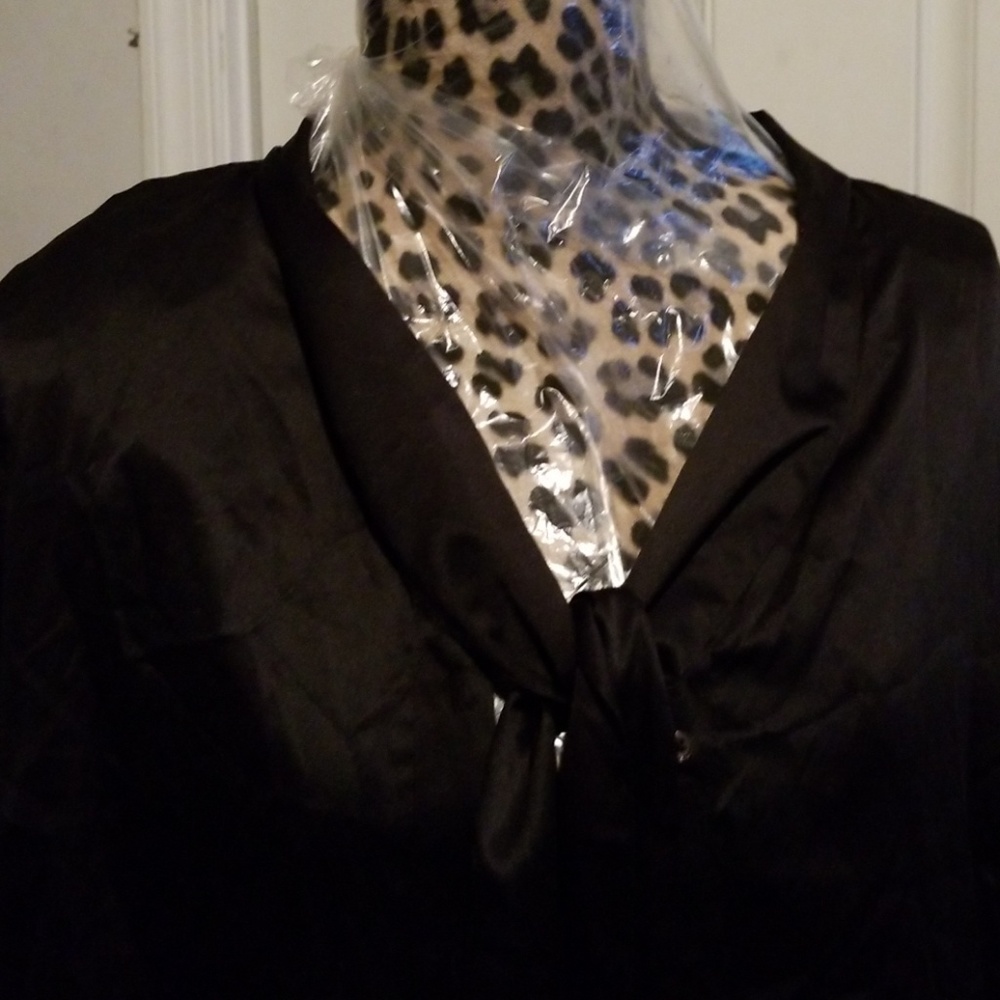 Brooks brothers blouse